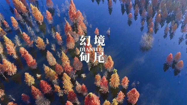 解惑交流平台微信小号怎么注销