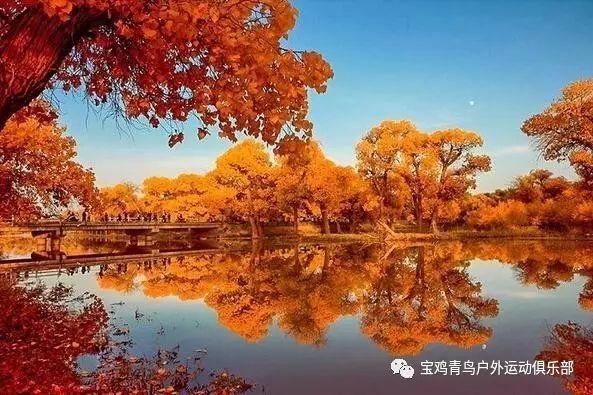 春雨直播app