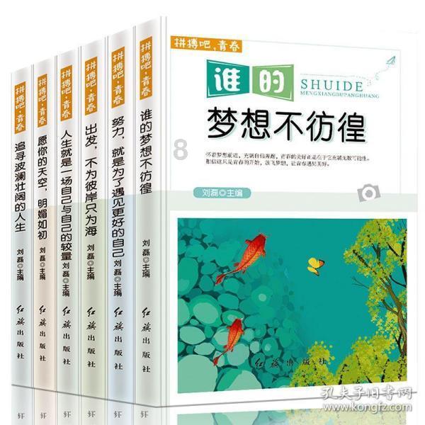 【平安海南建设】开展节前安全检查 筑牢食药安全屏障