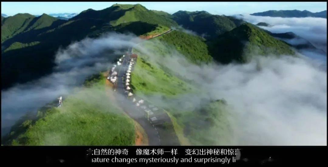 趣味沙滩球