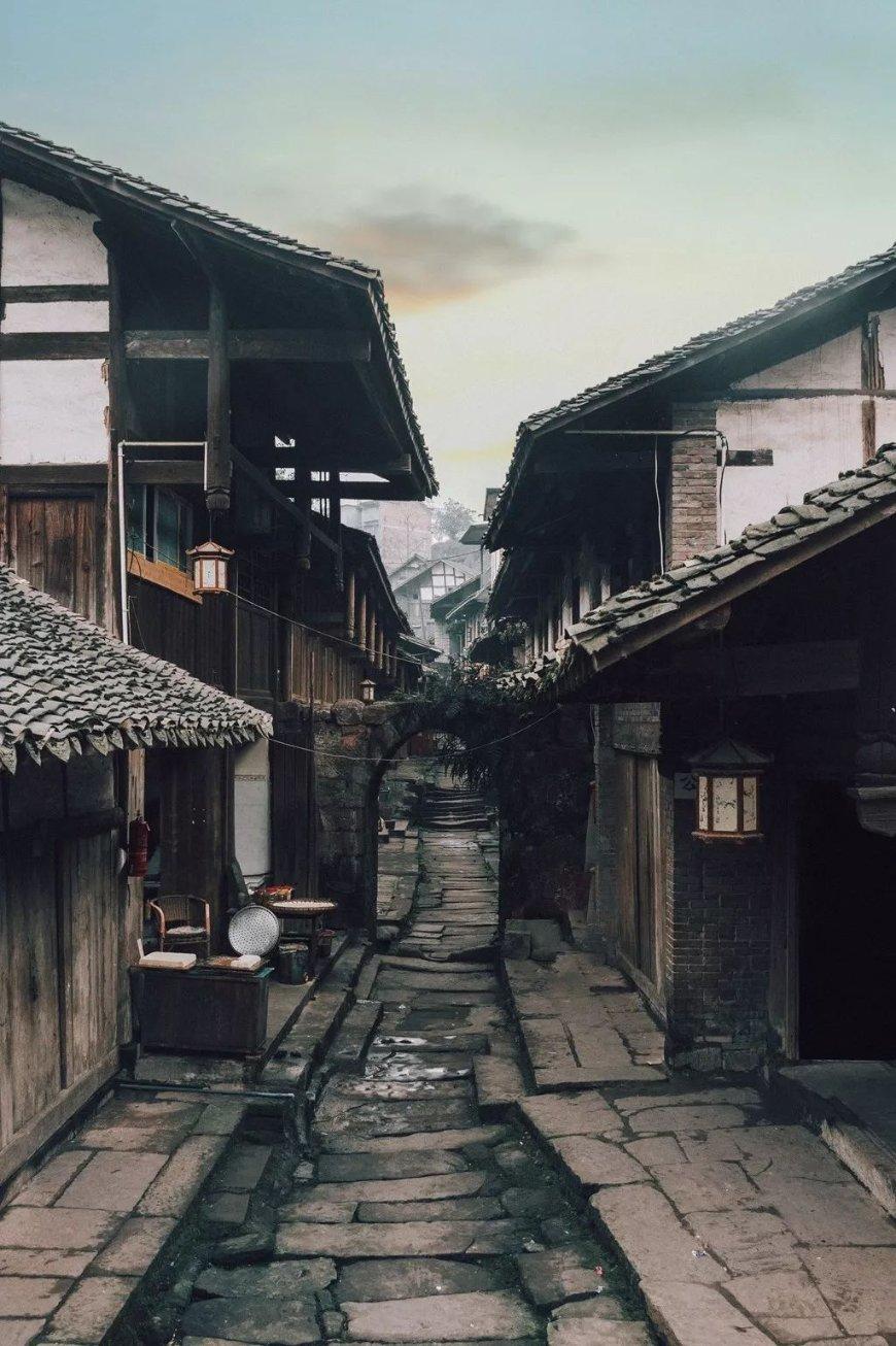 拯救可爱袋鼠