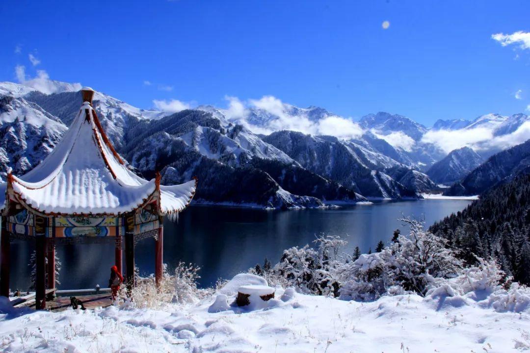 大型营救